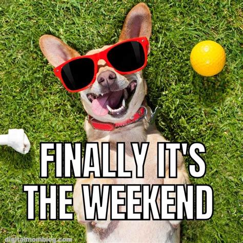 weekend memes|beautiful weekend meme.